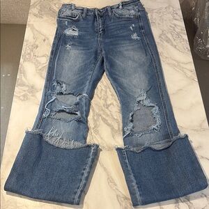 Flying Monkey Blue Flare Wide Leg Jeans